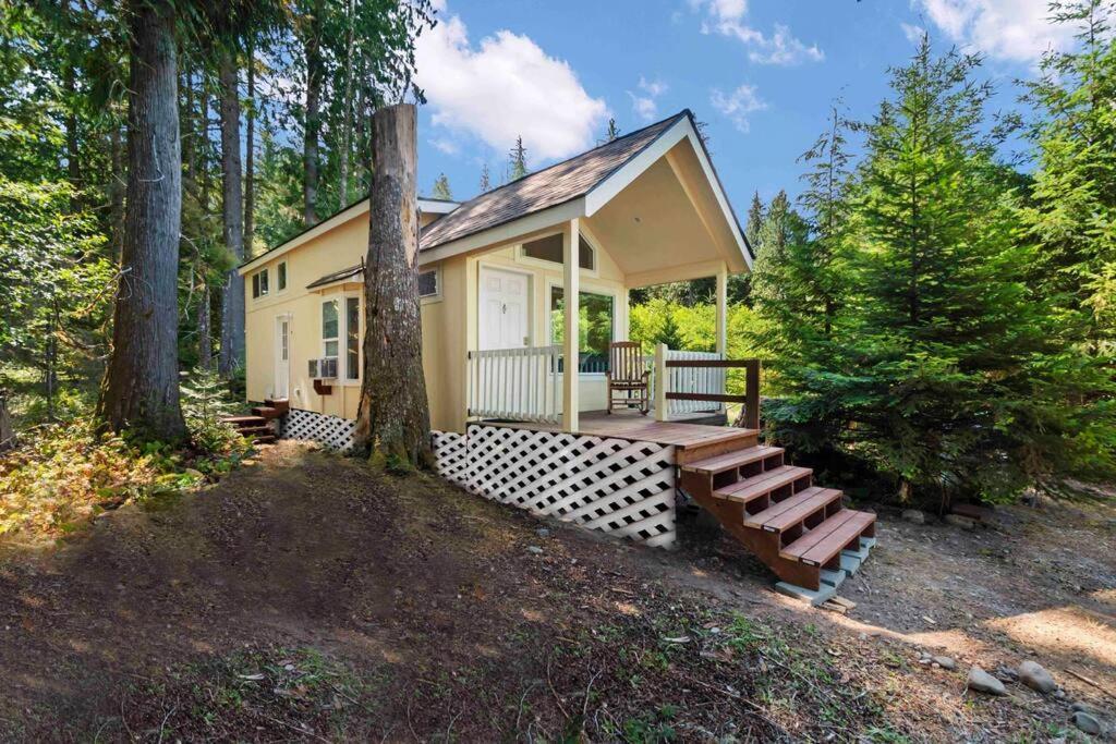 New Tiny Home Steps Away From Mt. Rainier Ashford Exterior photo