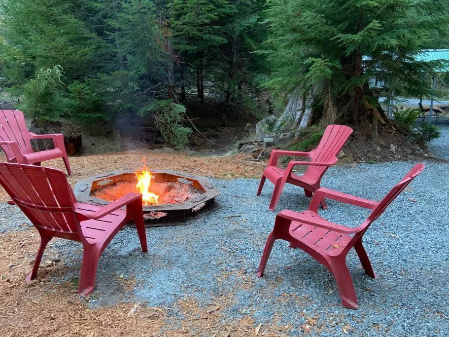 New Tiny Home Steps Away From Mt. Rainier Ashford Exterior photo